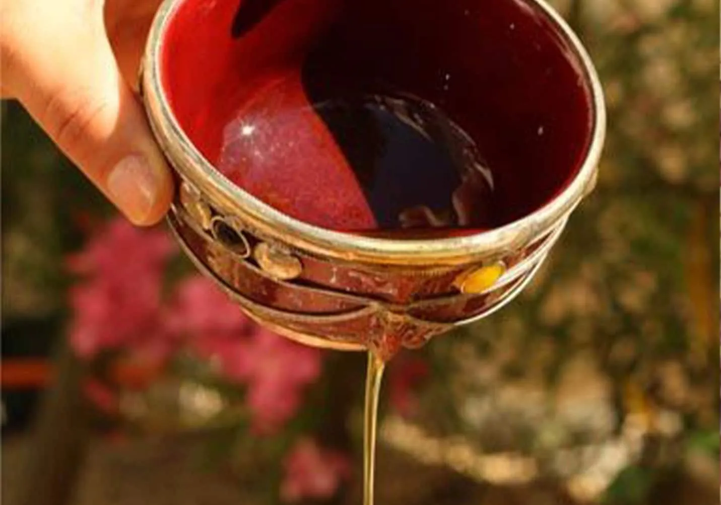 عملية إنتاج زيت الأرغان المغربي العضوي بالجملة