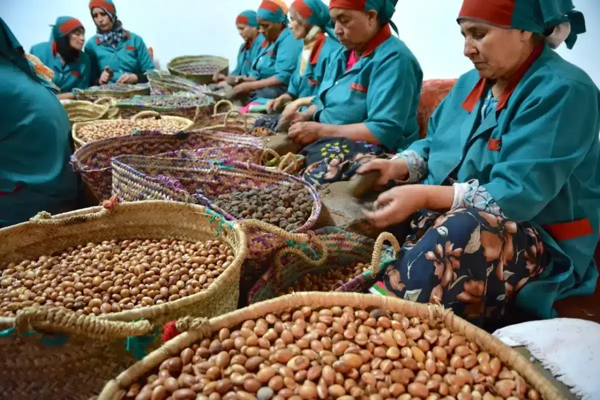 moroccan manufactiring