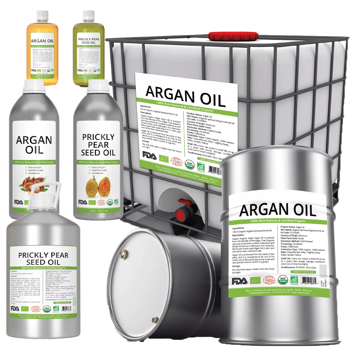 moroccan organic oil in bulk
