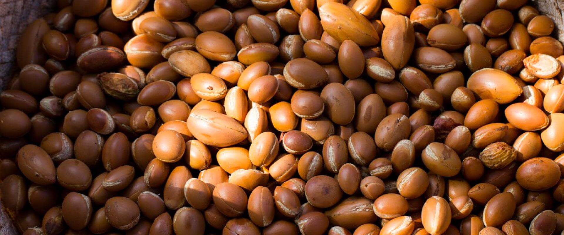 Where to Buy Argan Oil